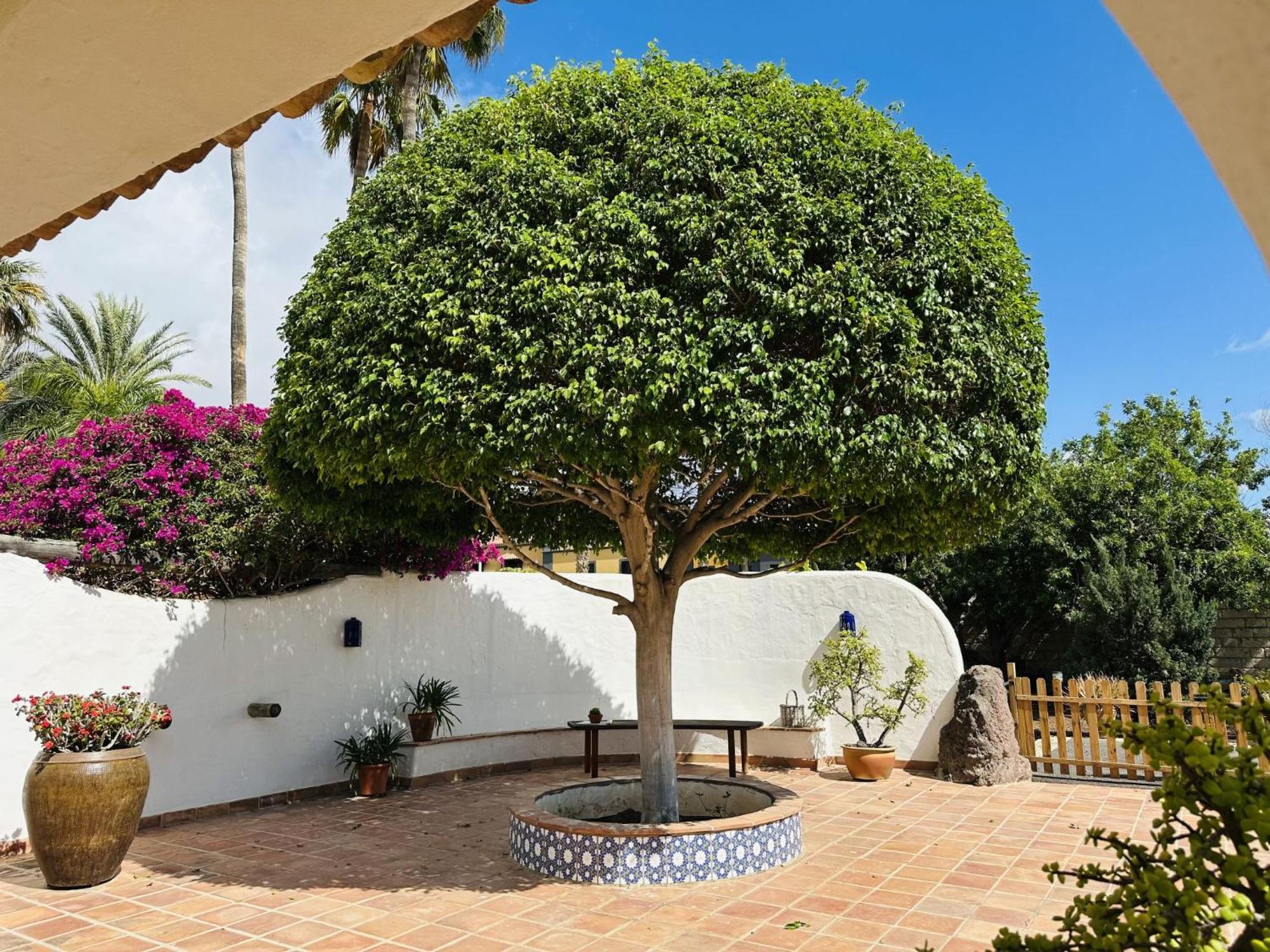 Villa Finca Ingala By Interhome Costa Adeje  Exterior foto